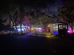 -枫花园汽车电影院(朝阳公园店)