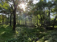 -杭州植物园