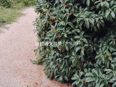 -济南南郊宾馆