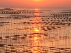 -北岐滩涂