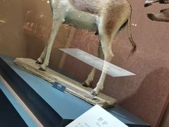 -大庆市博物馆
