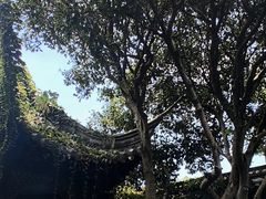 -绍兴鲁迅故里·沈园景区