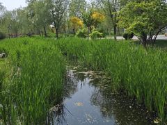 -水西公园