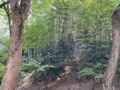 -上海佘山国家森林公园天马山园