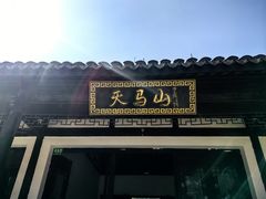 -上海佘山国家森林公园天马山园