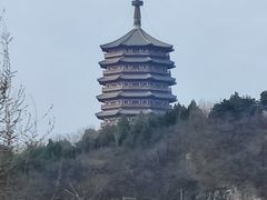 -永定河休闲森林公园