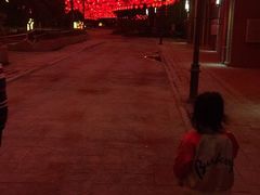 -神光山国家森林公园