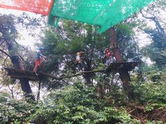 -芦仙山景区-飞越丛林探险乐园