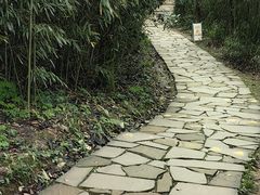 -都江堰中华大熊猫苑