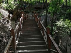 -大岭沟猕猴桃谷风景区