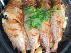 -海市焗·现焗海鲜·老广风味(上海首店)