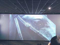 -蘭亭·新都汇