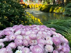 -杭州植物园