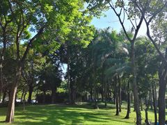 -荔香公园