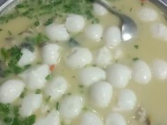 -柘林湖生态鱼馆