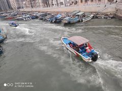 -霞涌市场海鲜摆卖区