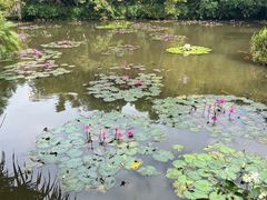 -中国科学院西双版纳热带植物园
