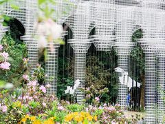 -深圳市中科院仙湖植物园