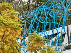 -深圳市宝安体育中心体育场