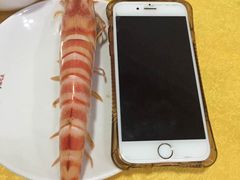 -蚝专家(北滘店)
