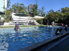 -汪说喵讲宠物乐园宠物酒店(红星美凯龙店)