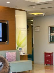-杭州贝瑞斯美华妇儿医院·早孕·产检·儿科