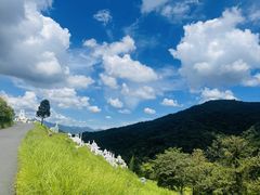 -龙岩森林水乡景区