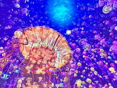 -海合安青岛极地海洋公园