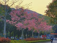 -风云岭森林公园