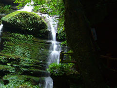 -碧峰峡风景区
