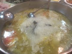 -重庆乌鱼庄·龙滋鲜(青羊大道店)