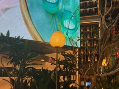 -桂满陇·海市蜃楼·黑金(国金店)