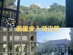 -日出青木