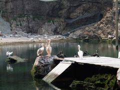-海驴岛(荣成市)