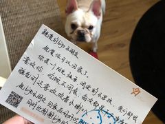 -芭比堂动物医院·犬猫全科·异宠专科(雁塔分院)