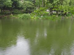 -杭州花家山庄