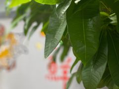 -星记小馆·小蓝龙·老南京砂锅菜(上海路店)