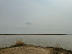 -哈素海