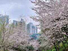 -百林公园-两江幸福广场