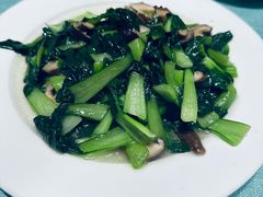 -西塘人家•黑金冠本地好店