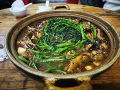 鲶鱼煲-海口滨海新村143号海南老字号炒菜店