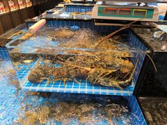 -海月轩海鲜豆捞(紫金塔店)