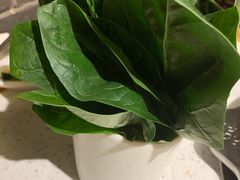 -大龙燚火锅
