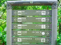 -广州市流溪河国家森林公园