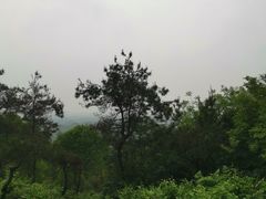 -龙寺生态园