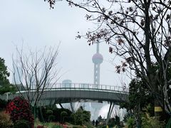 -北外滩滨江绿地