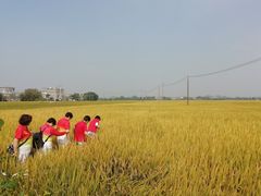 -优之名鹅城