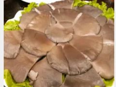 -蝎王府羊蝎子(北大地店)