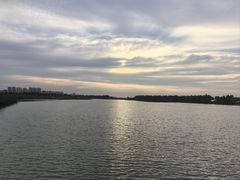 -贡湖湾湿地公园