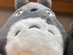 -猫的天空之城概念书店(杭州南宋御街店)